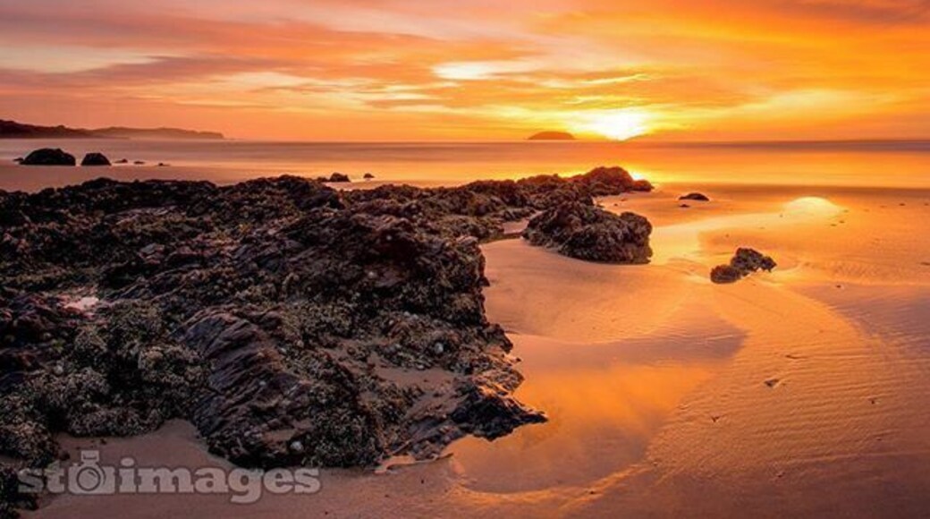 Emerald Beach lighting up #coffscoast #sunrise 🙌