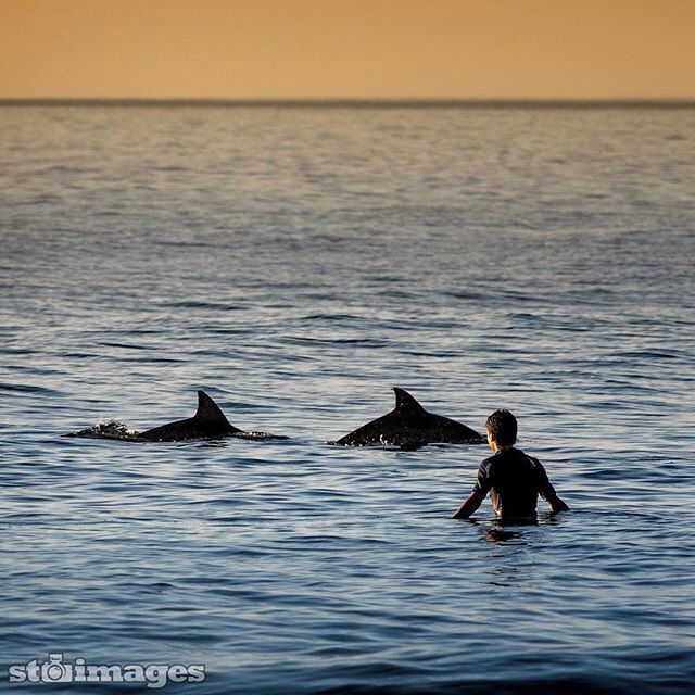Surfers are a lucky breed. You will find them most morning off "Look at me now" headland at Emerald Beach NSW 🙏
