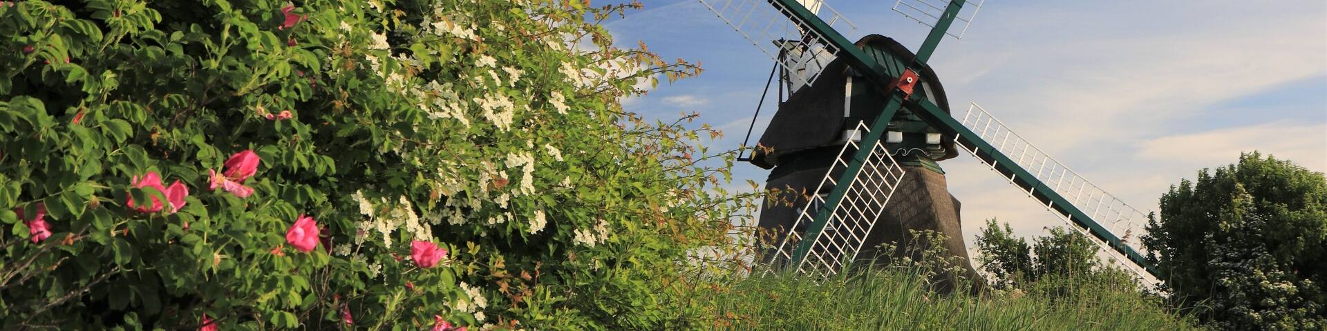 Mühle Charlotte, Geltinger Birk, Schleswig-Holstein, Deutschland