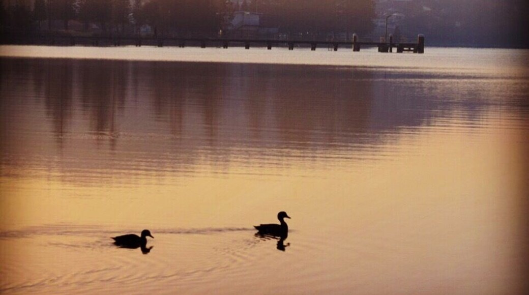 Speers Point NSW ❤️ an hour an a half north of Sydney 😄