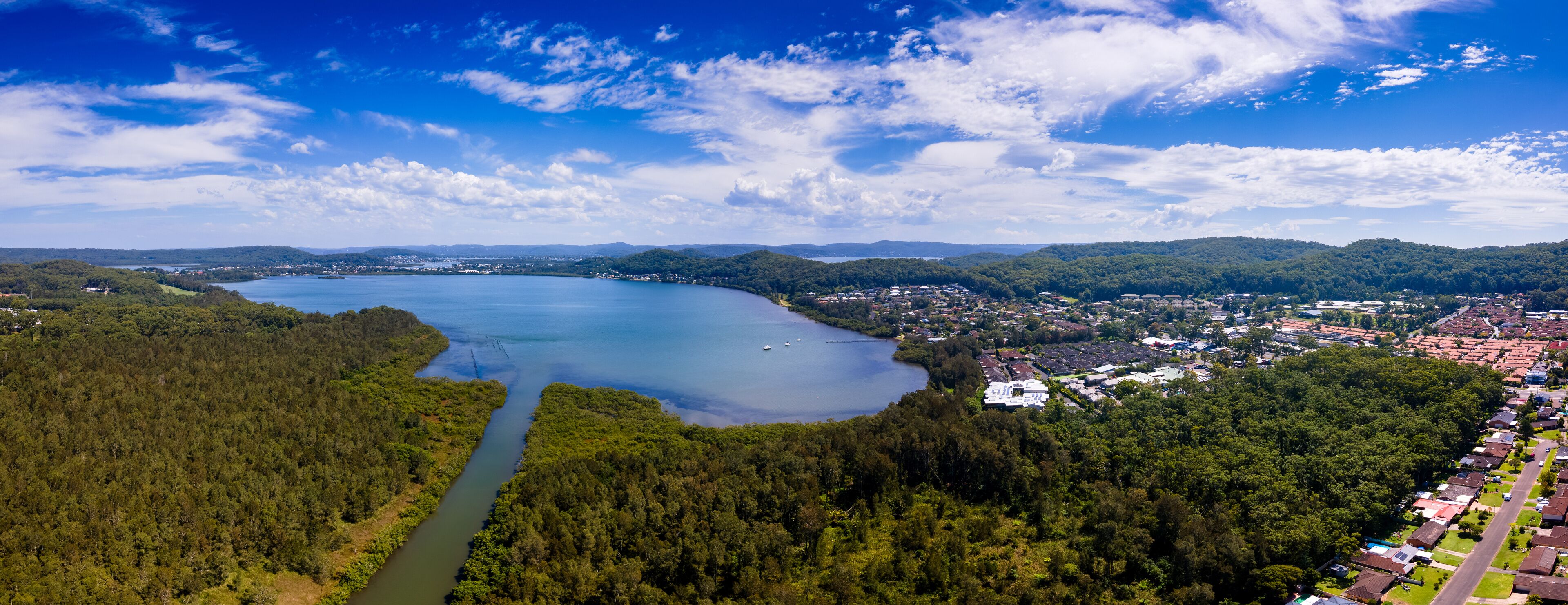 A lake surrounded by forest, a river, and a town with houses.