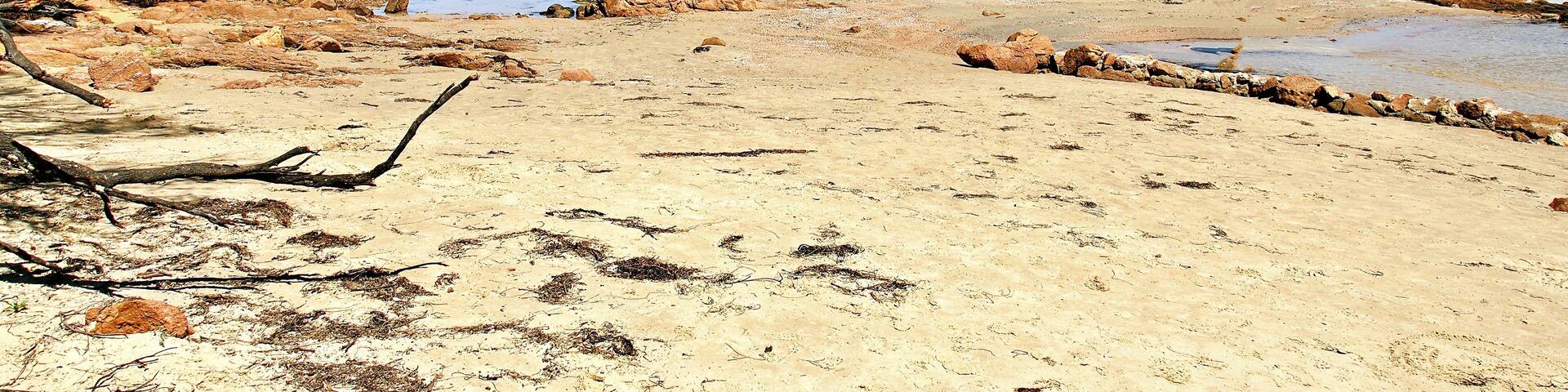 The turquoise waters of scenic Coles Bay in Tasmania, Australia. , Shutterstock ID 1269402835, Purchase Order: -