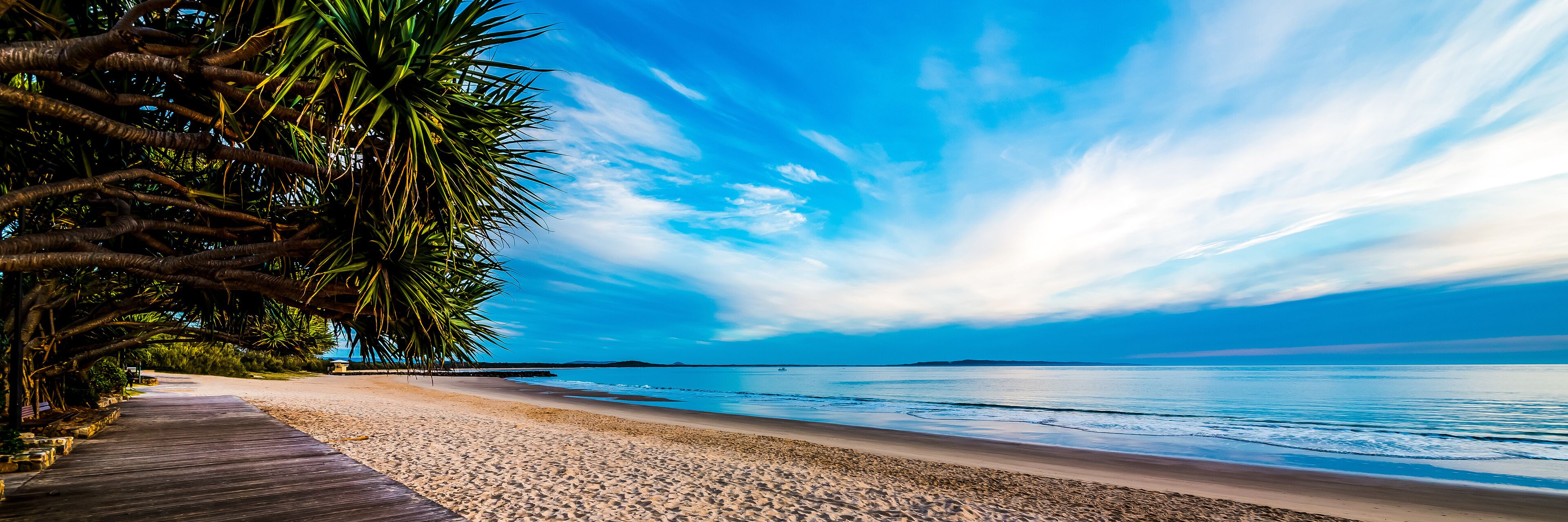 A beach with a wooden walkway, palm trees, and a clear blue sky.