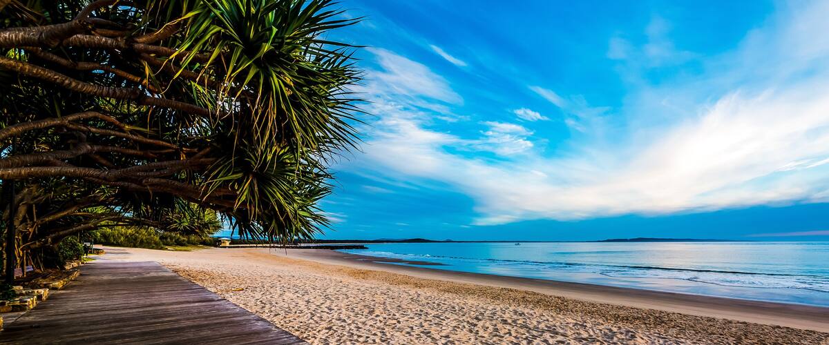 A beach with a wooden walkway, palm trees, and a clear blue sky.