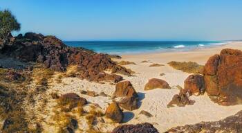 Hastings Point beach, North Coast, New South Wales, Australia