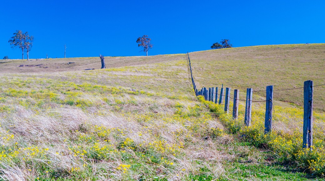 Hunter Valley Landscape in Australia
