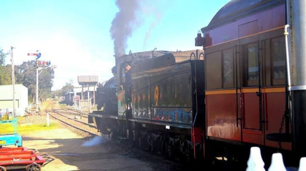 'A day out with Thomas' at Trainworks Museum.
A fun place for little kids and big kids alike. Includes a train trip on a steam train.
AUD35 Adults and AUD25 Children (July 2014 pricing) and this includes access into the museum, free facepainting and jumping castle.
Jump online and book early as these tickets sell out fast.
