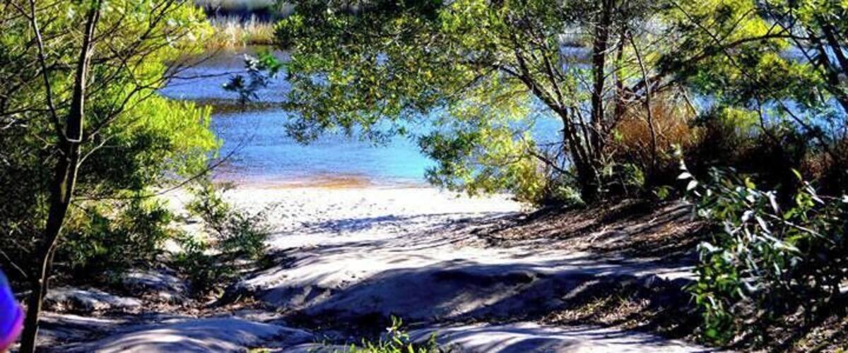 Lovely spot to stop and have lunch. (Backdrop Lake Couridjah - Thirlmere Lakes)