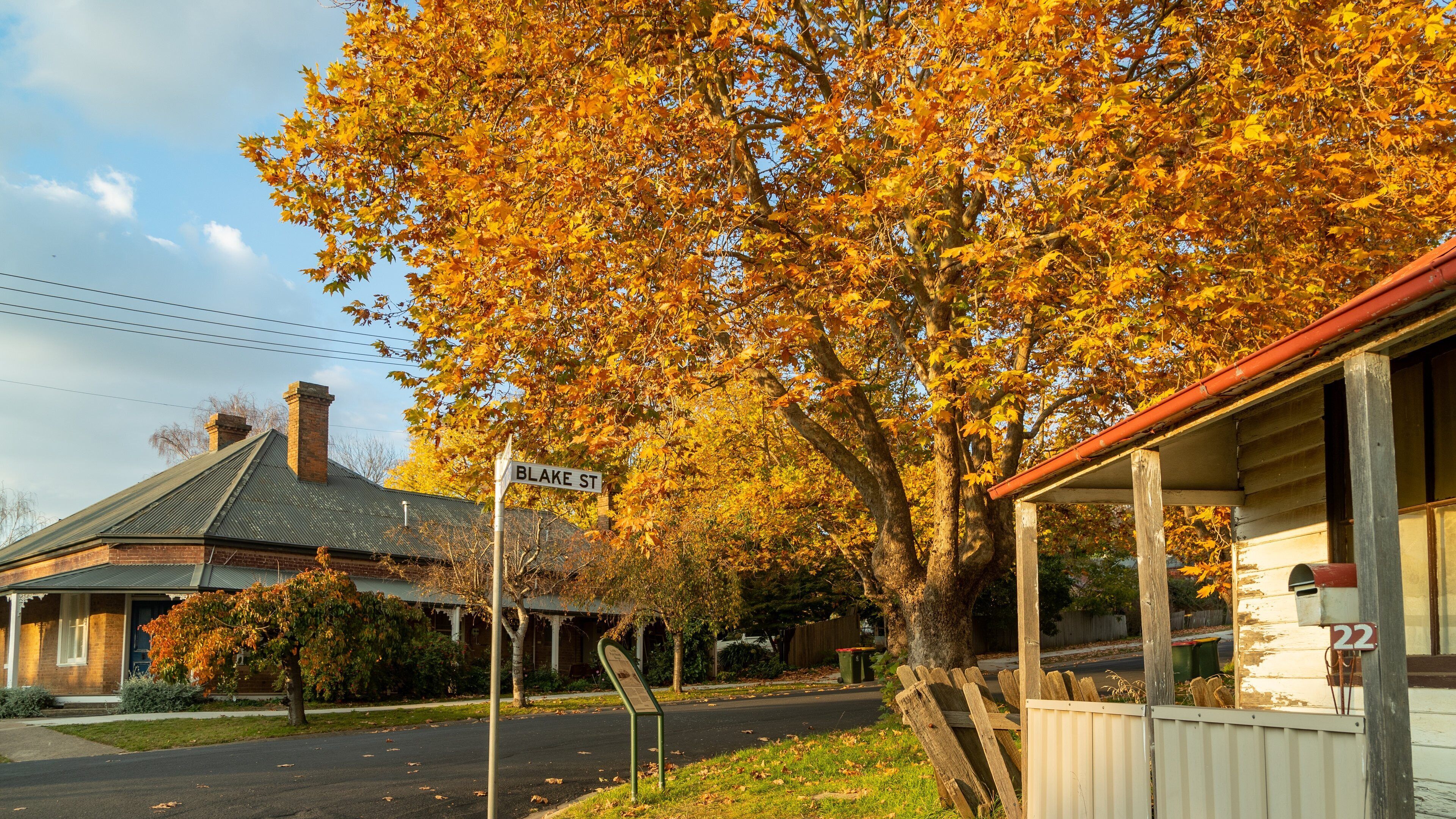 Millthorpe showing autumn leaves