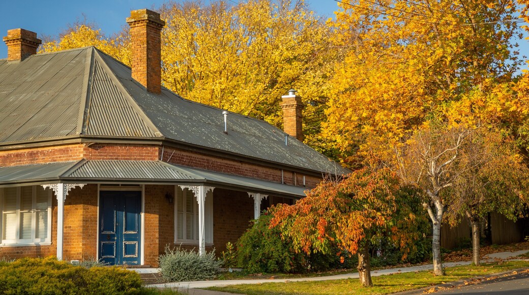 Blayney Shire Council