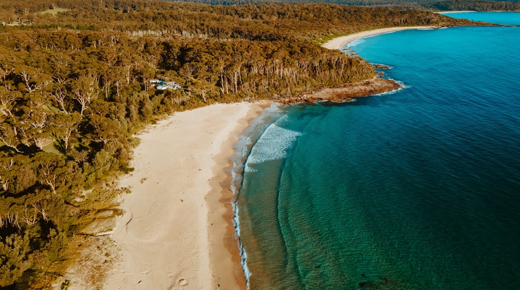 Eine Küstenlandschaft mit Sandstrand, klarem, blauem Wasser und bewaldeten Hügeln im Hintergrund.