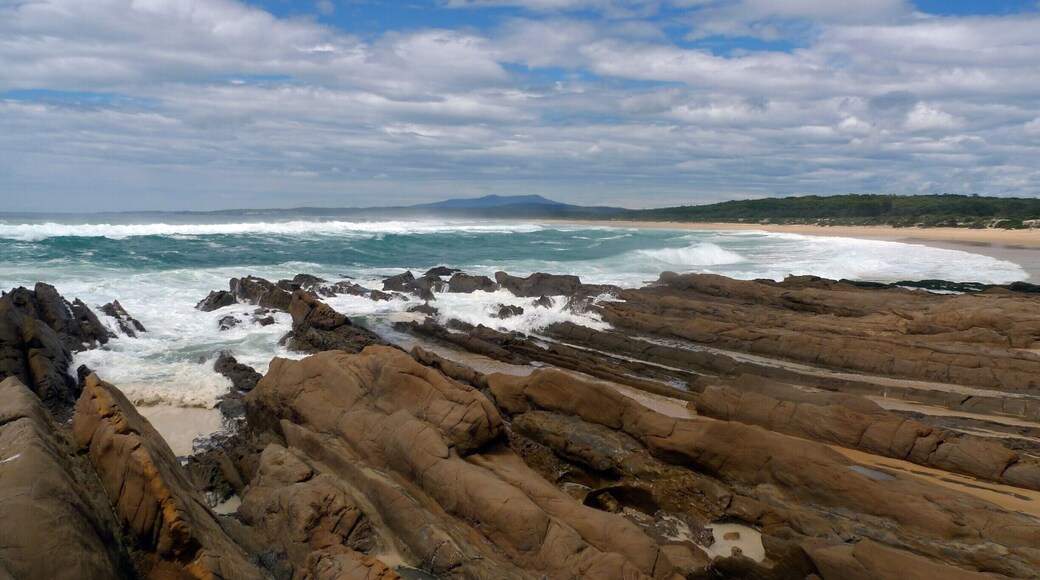 Eurobodalla National Park