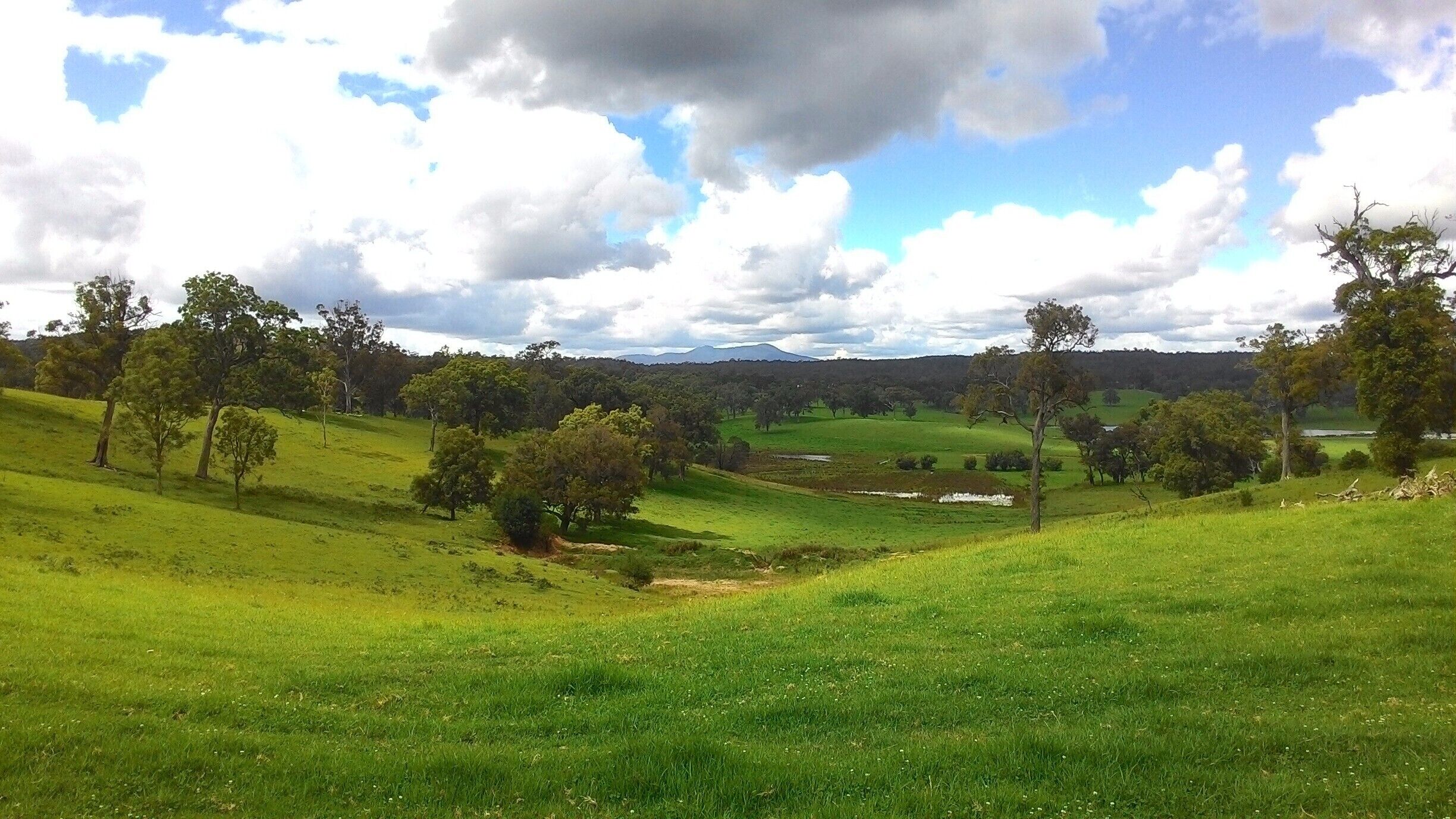 A lush green landscape with rolling hills, scattered trees, and a distant mountain range under a partly cloudy sky.
