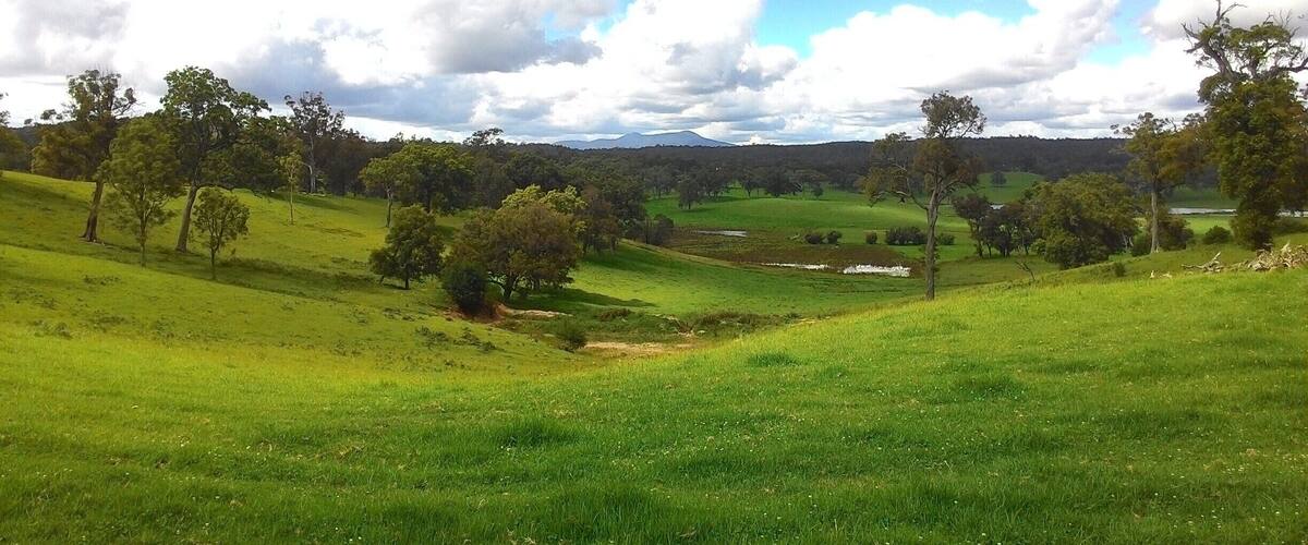 A lush green landscape with rolling hills, scattered trees, and a distant mountain range under a partly cloudy sky.