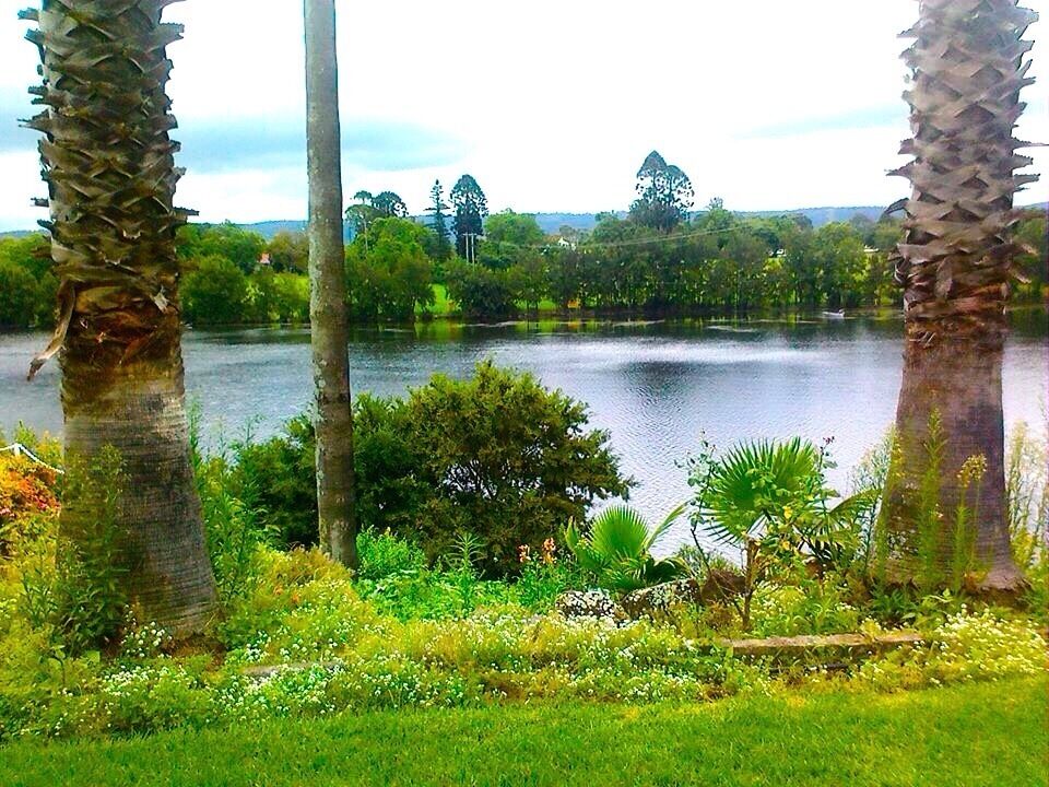 By the Nepean river at Emu Plains, Western Sydney Australia