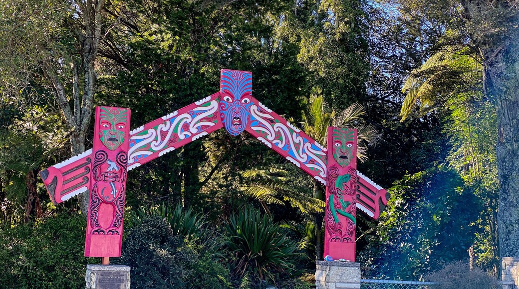 Hukutaia Domain ranks as one of Opotiki's main attractions. It is a 5 hectare remnant of extensive native forest with a Pururi tree important to Maori.