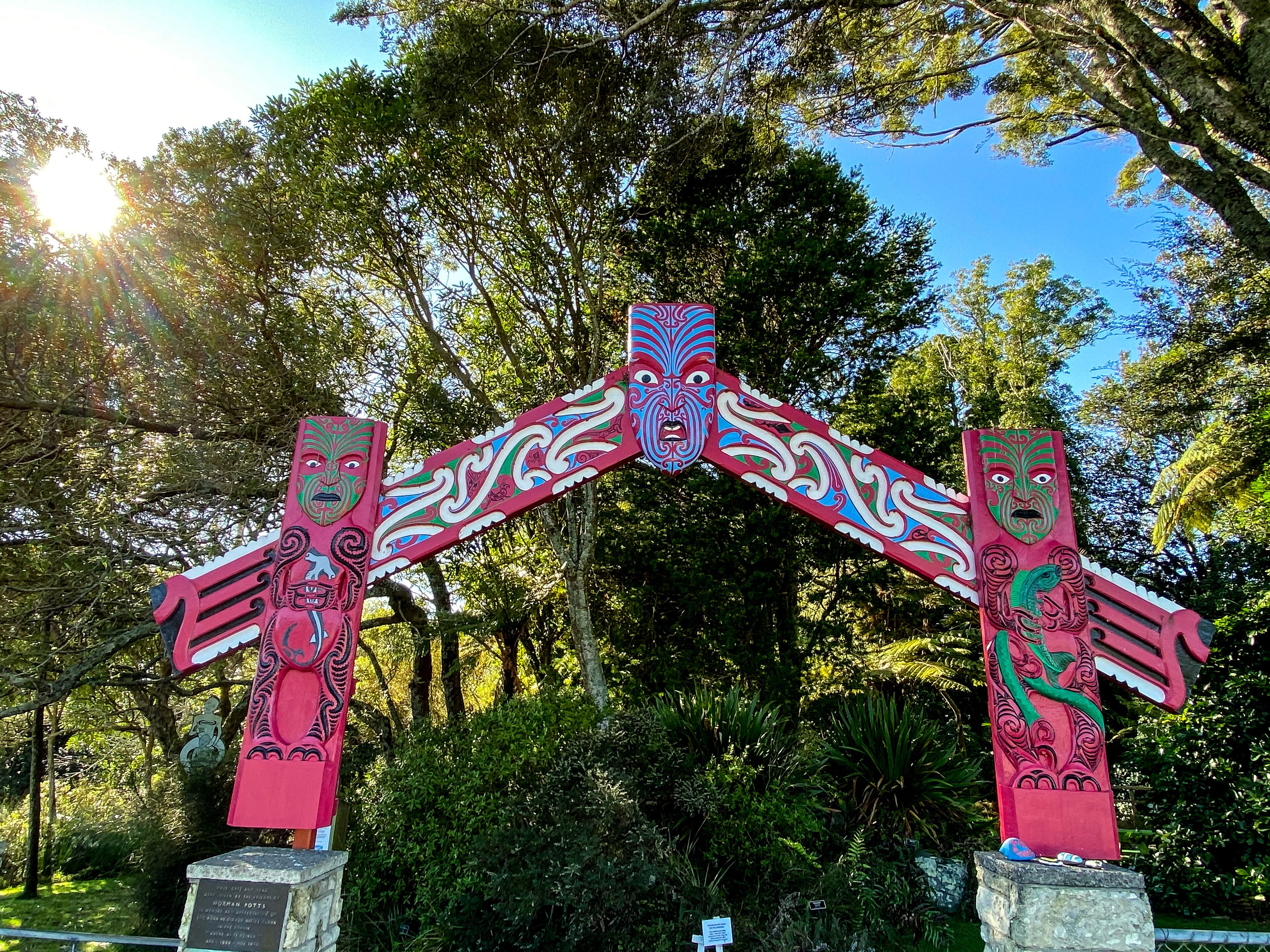 Hukutaia Domain ranks as one of Opotiki's main attractions. It is a 5 hectare remnant of extensive native forest with a Pururi tree important to Maori.