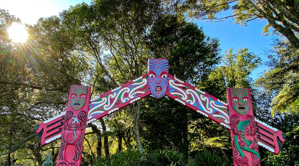 Hukutaia Domain ranks as one of Opotiki's main attractions. It is a 5 hectare remnant of extensive native forest with a Pururi tree important to Maori.