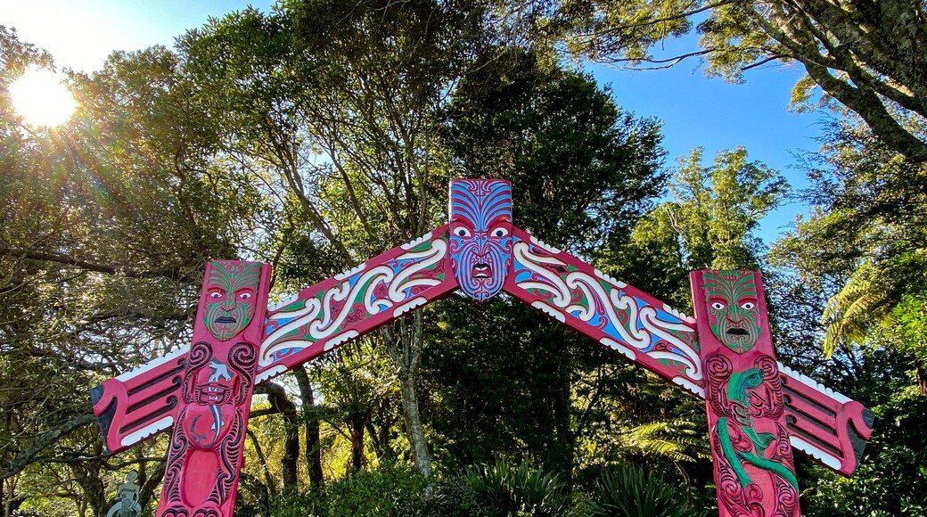 Hukutaia Domain ranks as one of Opotiki's main attractions. It is a 5 hectare remnant of extensive native forest with a Pururi tree important to Maori.