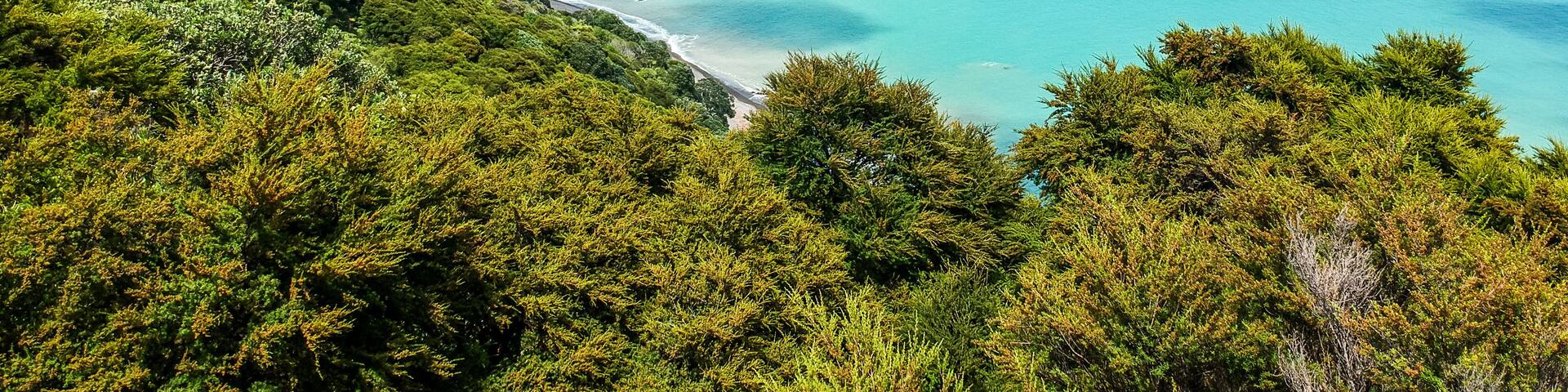 A coastal landscape with a beach, turquoise waters, and green hills.