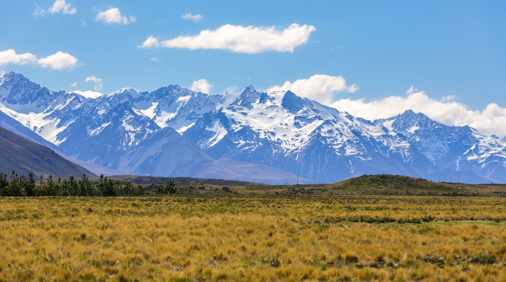 In der Nähe von Fairlie in Neuseeland (New Zealand)