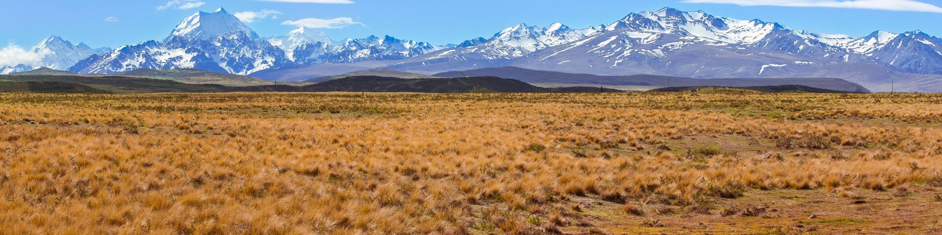 A vast grassy field with snow-capped mountains in the background.