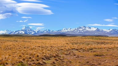 Um extenso campo gramado com montanhas nevadas ao fundo.