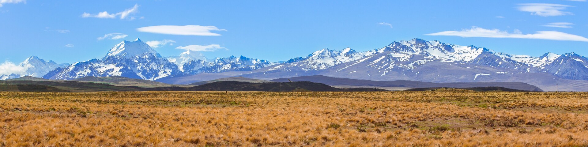 Um extenso campo gramado com montanhas nevadas ao fundo.