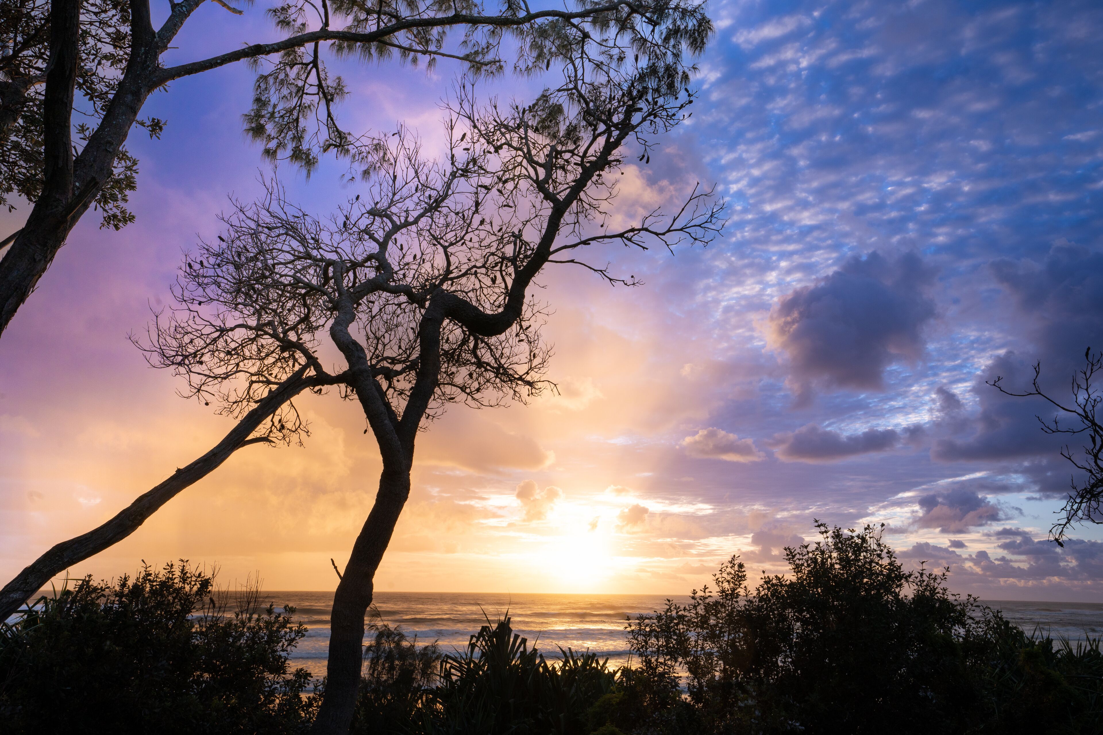 Sunset over the beach at Yuraygir National Park camping area, Minnie  Water