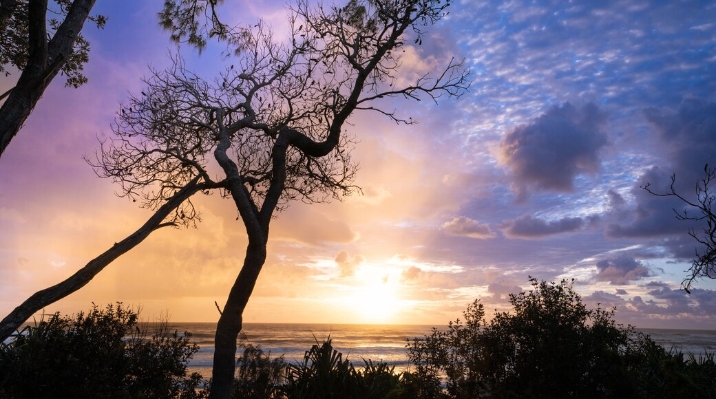 Sunset over the beach at Yuraygir National Park camping area, Minnie Water