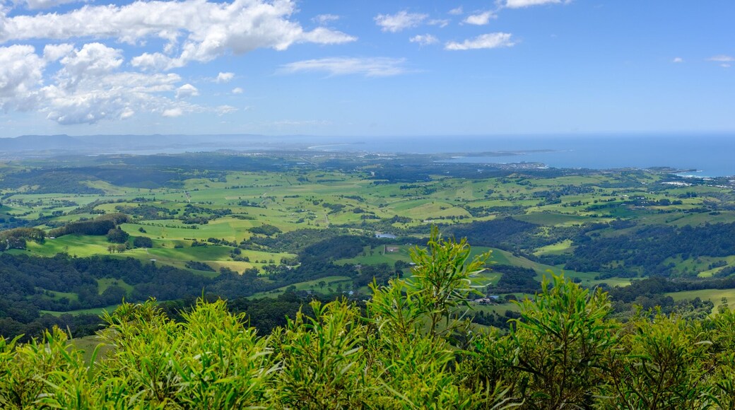 ์คํฌ ํ๋์ธ