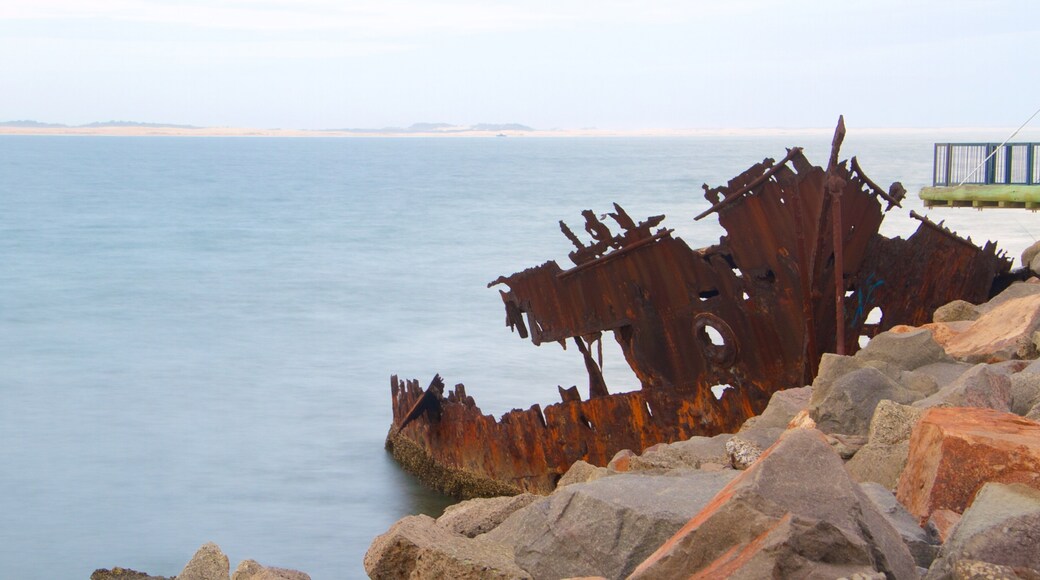 Newcastle presenterar kustutsikter