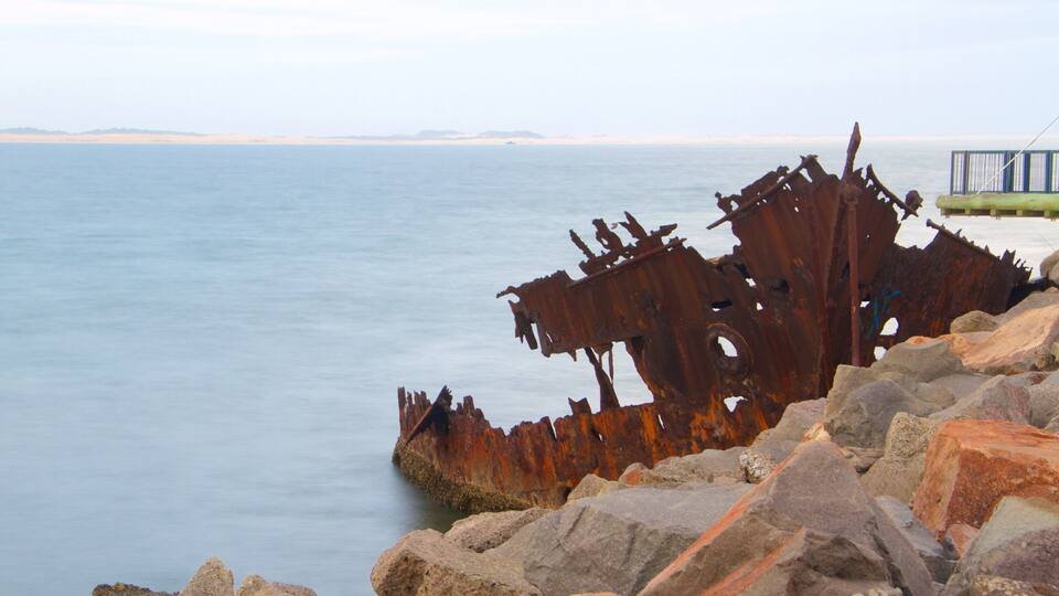 Newcastle featuring general coastal views
