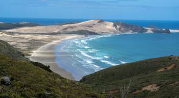Een kustlandschap met een zandstrand, golven en glooiende heuvels.
