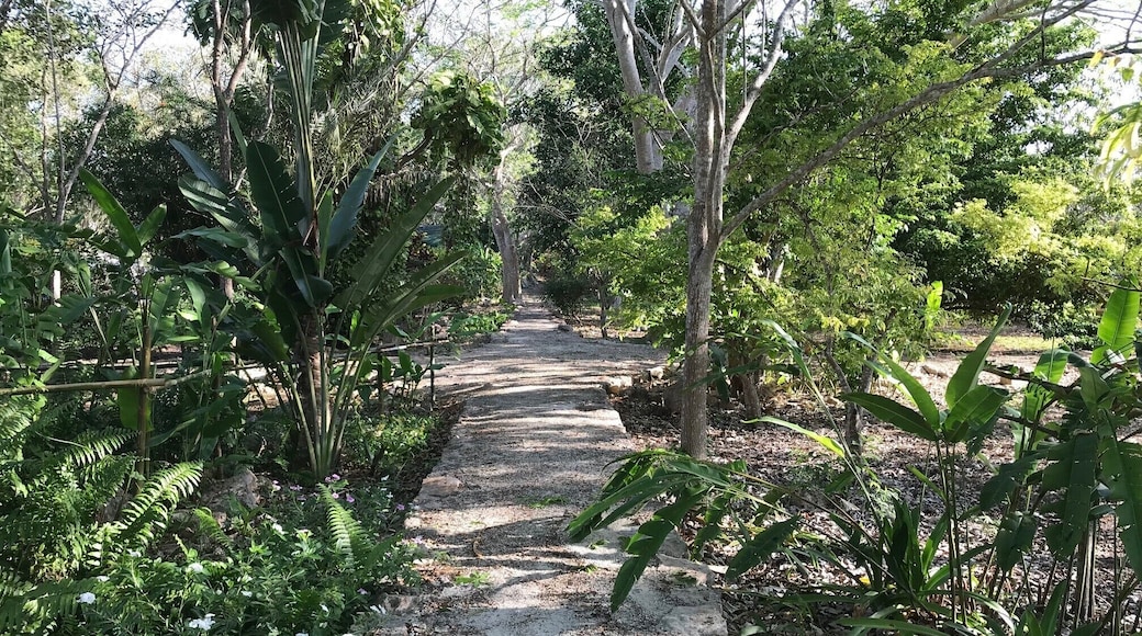 Strolling through back in time gardens #LiveAtExpedia