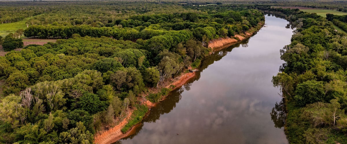A river winding through a dense forest with a distant mountain range.