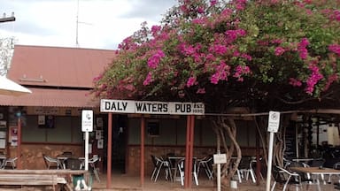 A pub pretty much in the middle of nowhere along the Stuart Highway. A lot of foreign currency memorabilia and other stuff left by travellers inside
http://wp.me/p8dzfr-rL
