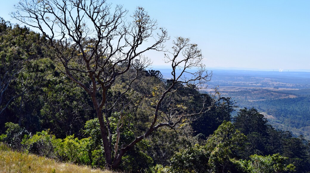 Bunya Mountains