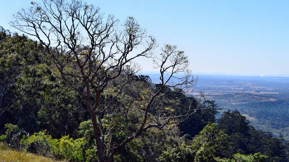 A mountainous landscape with dense forests and a clear view of distant hills.