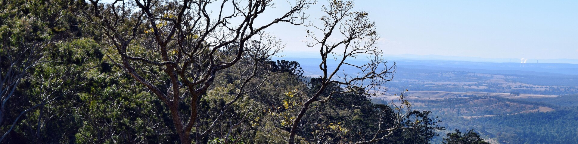 Un paisaje montañoso con bosques densos y una vista despejada de colinas distantes.