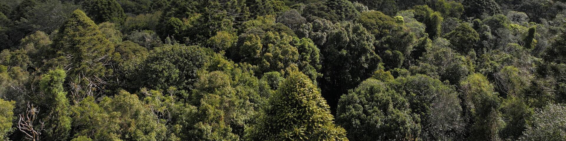 Spectacular aerial photo of Bunya Mountains Queensland Australia