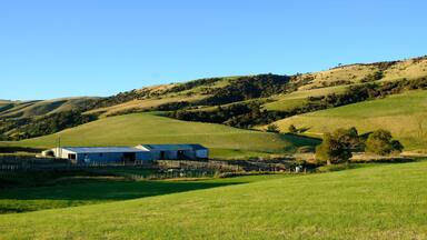 Feilds and farmland, Catlins, Southland, New Zealand