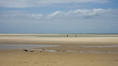 Family on a vast beach with overcast cloudy sky