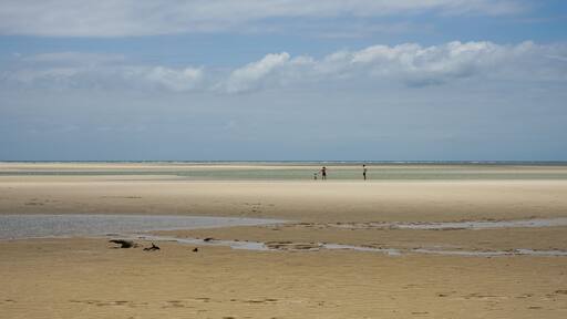 Family on a vast beach with overcast cloudy sky