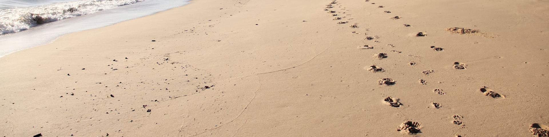 Beautiful Woodgate Beach, Queensland, Australia. Pristine beaches and beautiful weather. Waves, shore, sand and foliage