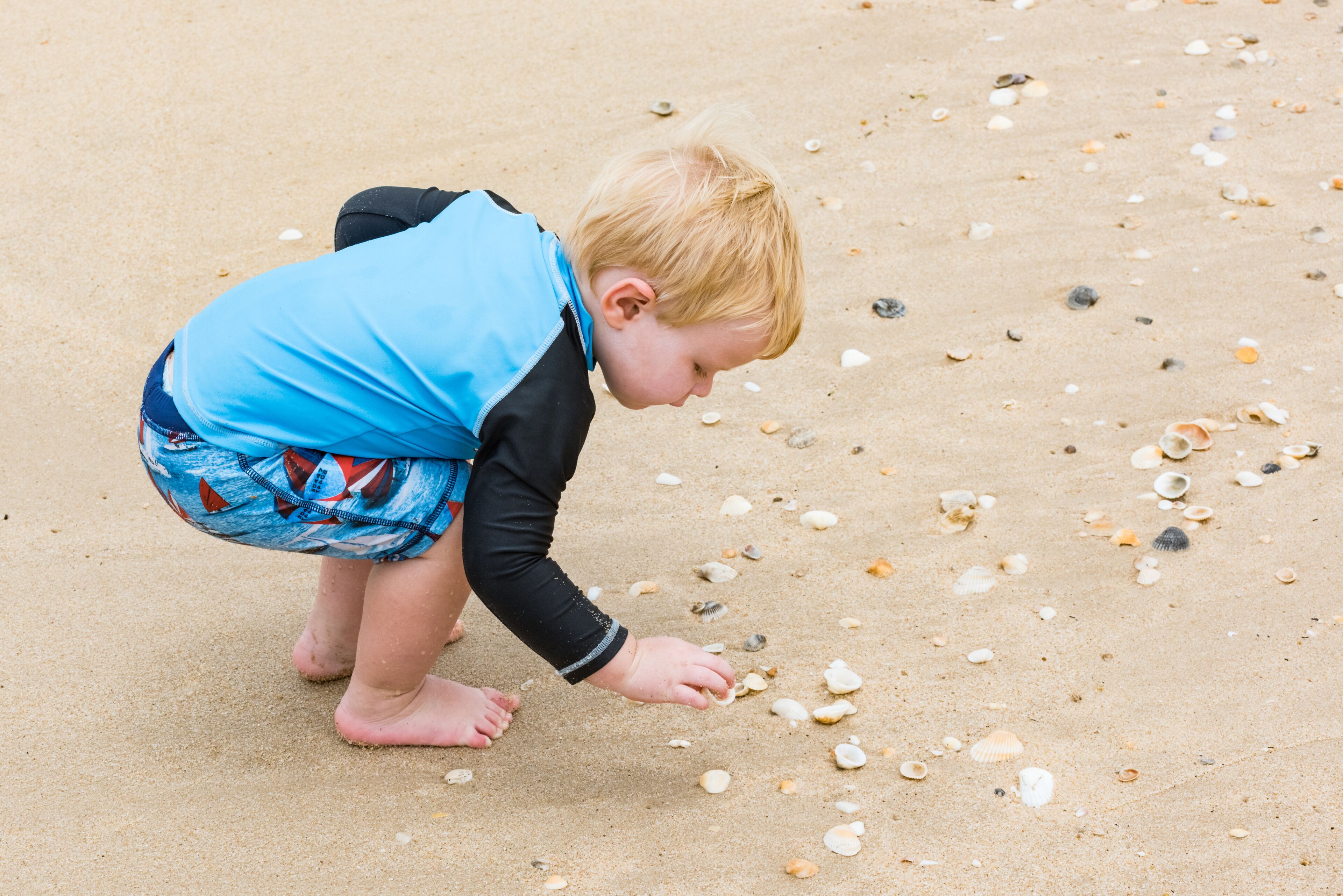 A child playing on a sandy beach with scattered seashells.