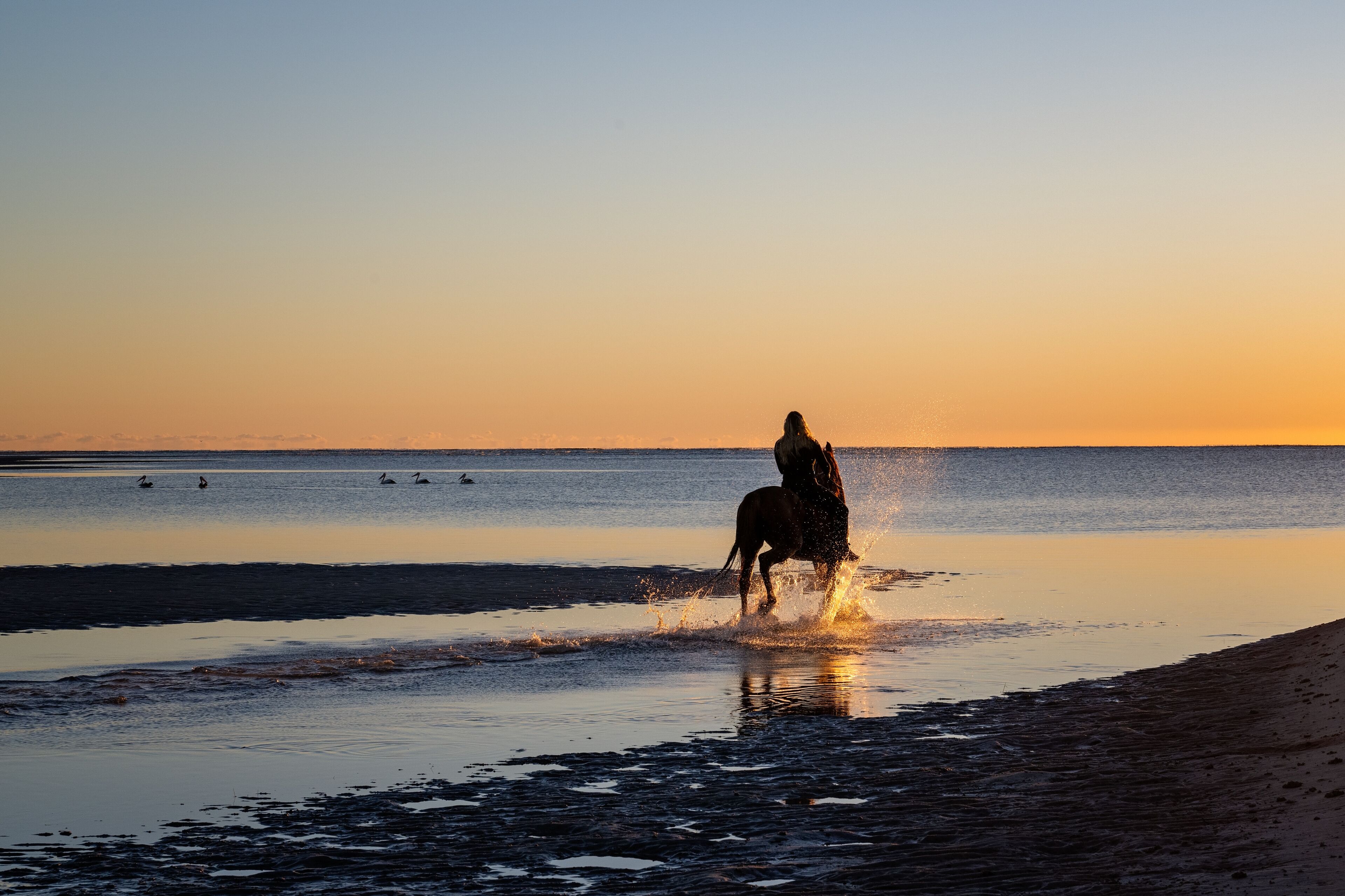 woman riding horse on beach at sunrise dawn, Woodgate Beach, Queensland, Australia