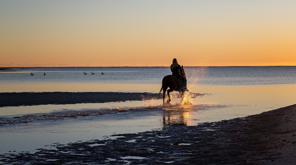 woman riding horse on beach at sunrise dawn, Woodgate Beach, Queensland, Australia