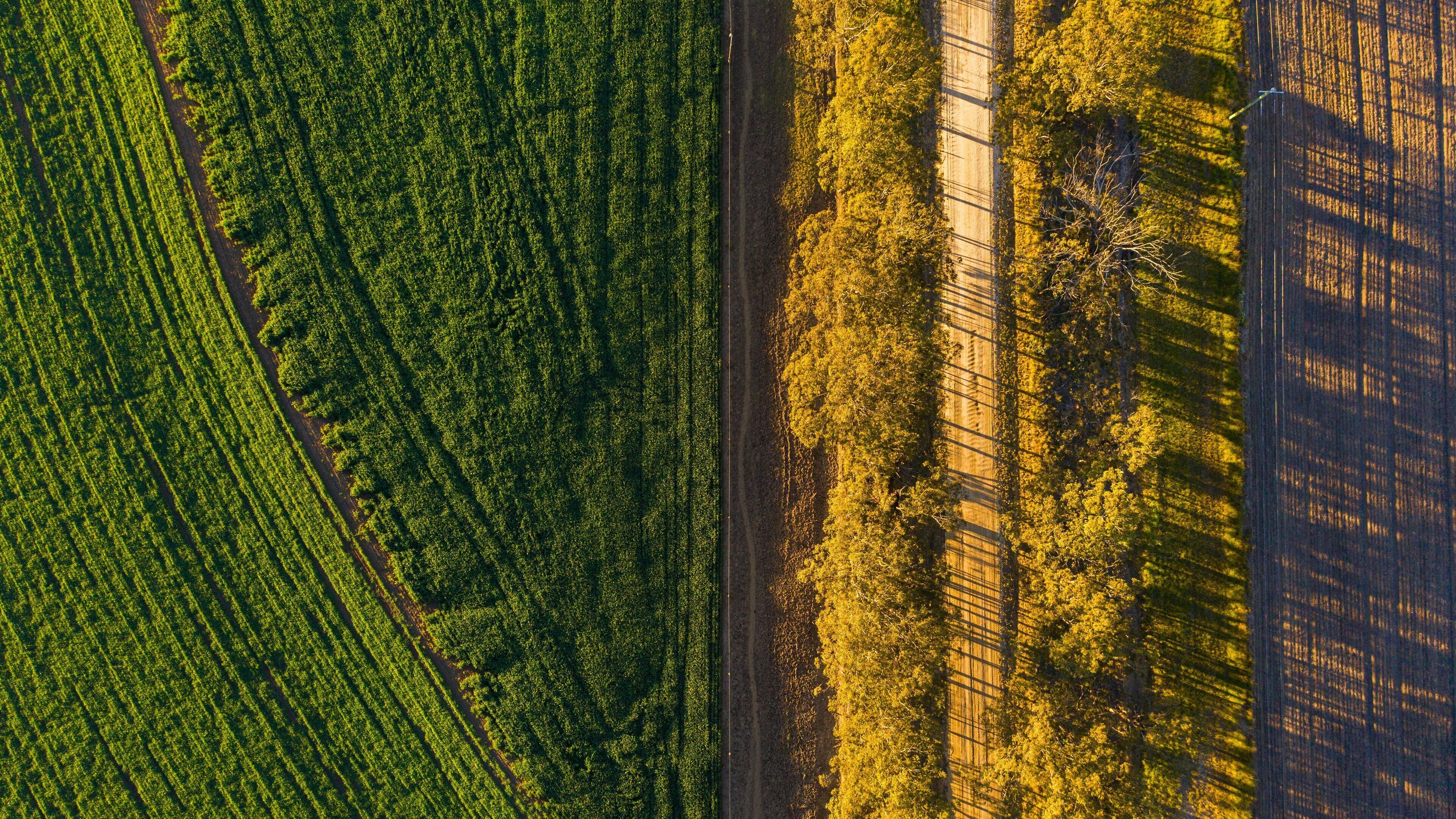 Killarney showing farmland