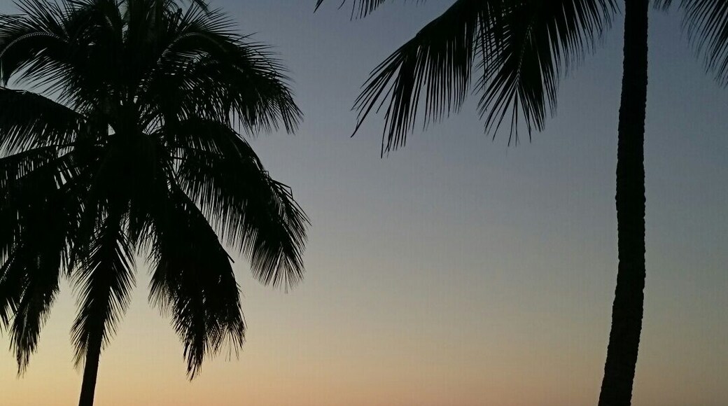 With long sandy beaches and views to Newry Island, Seaforth was an unexpected delight. This small, laid back tourist town is exactly what you need to recharge your batteries and relax with th a few good book and better bottle of wine. Simply gorgeous.
#weekendgetaway #beach #Queensland